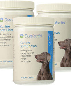 Duralactin Dog Chews (180 count)