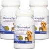 CLENZ-A-DENT ProDen PlaqueOff Flakes 120 g Total 3-Pack