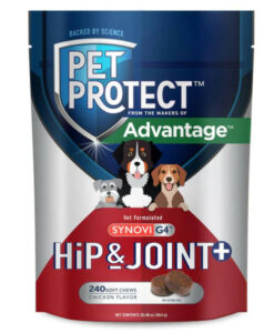 Pet Protect SynoviG4 Dog Supplement Soft Chews 240 Count